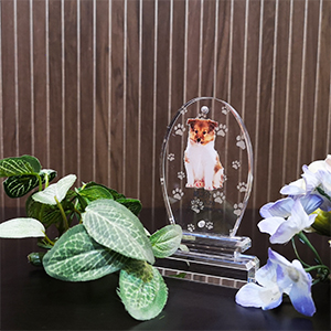 アクリル位牌　オーバル型